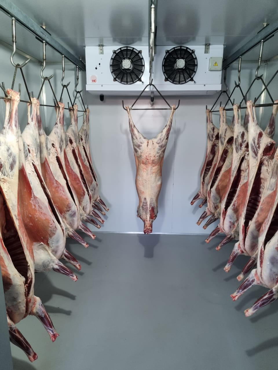Lamb and mutton cold room