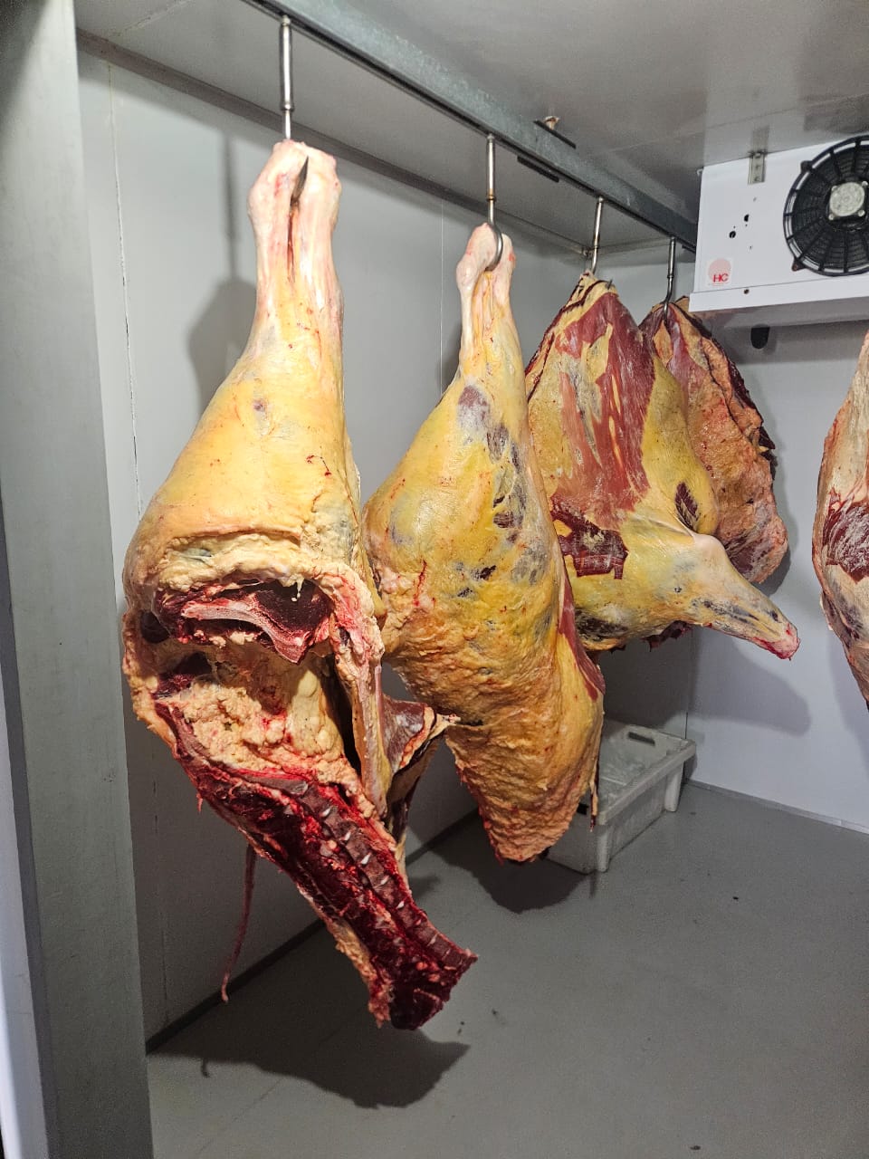 Beef processing cold room